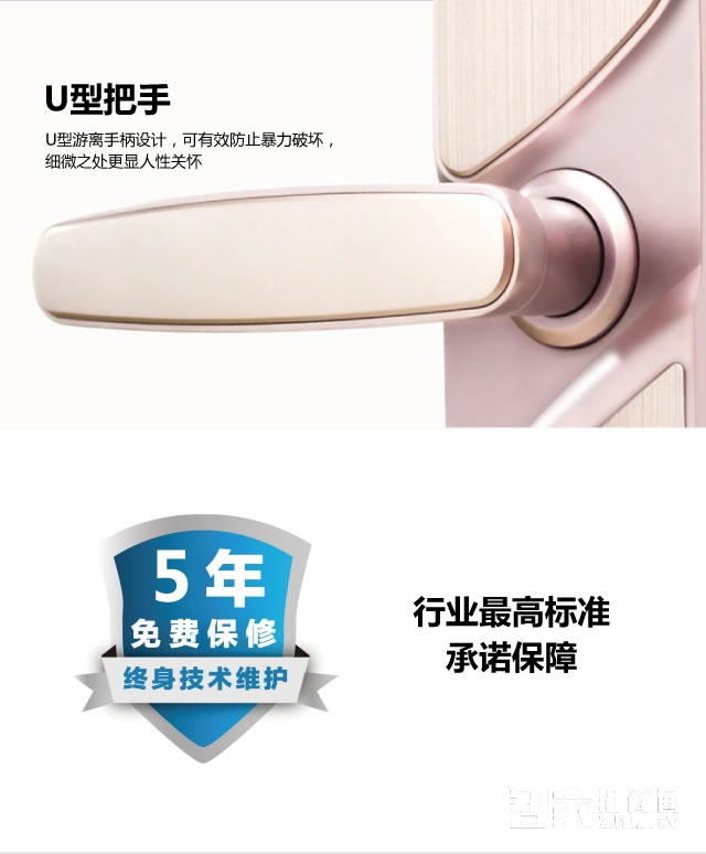 百思易智能鎖 智能鎖/手機(jī)遠(yuǎn)程開鎖/六合一智能鎖