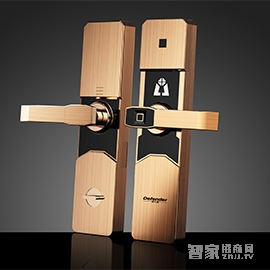 帝凡德全智能門鎖 防盜門指紋鎖 遠(yuǎn)程開鎖