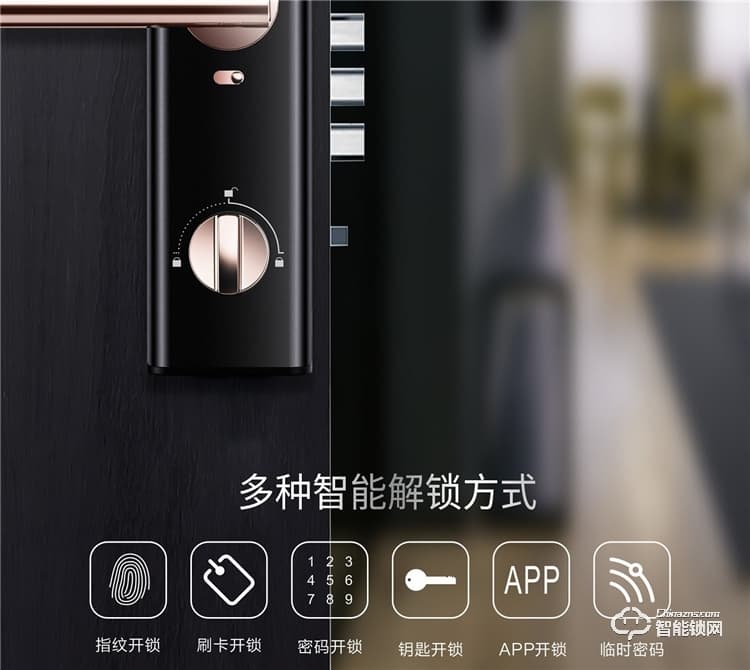 揚子智能鎖 SZ1家用半自動防盜門鎖