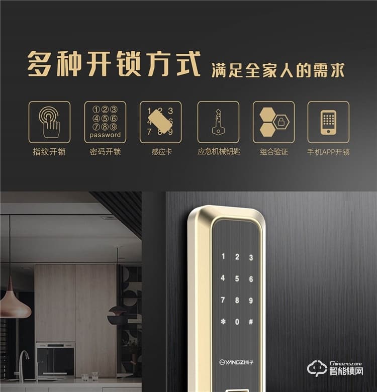 揚(yáng)子智能鎖 S9家用直板半自動(dòng)智能鎖