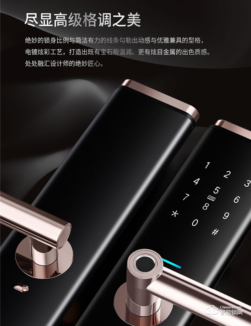 揚(yáng)子智能鎖 S8家用半自動(dòng)智能鎖