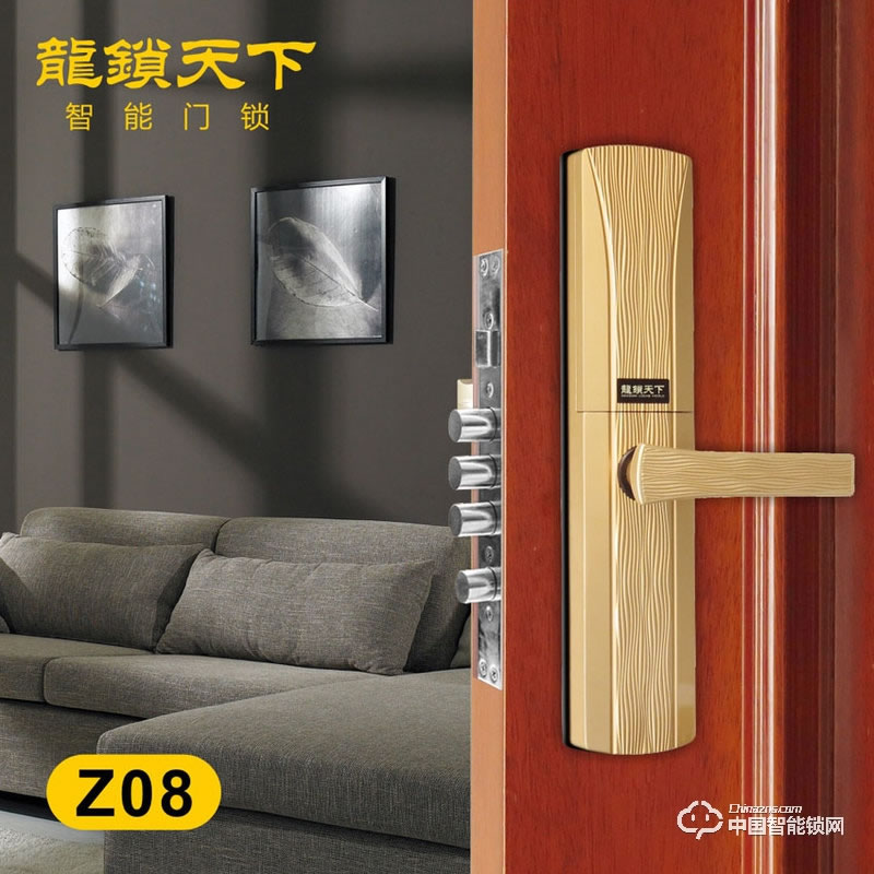 龍鎖天下智能鎖 滑蓋指紋密碼鎖 防盜門智能鎖Z08