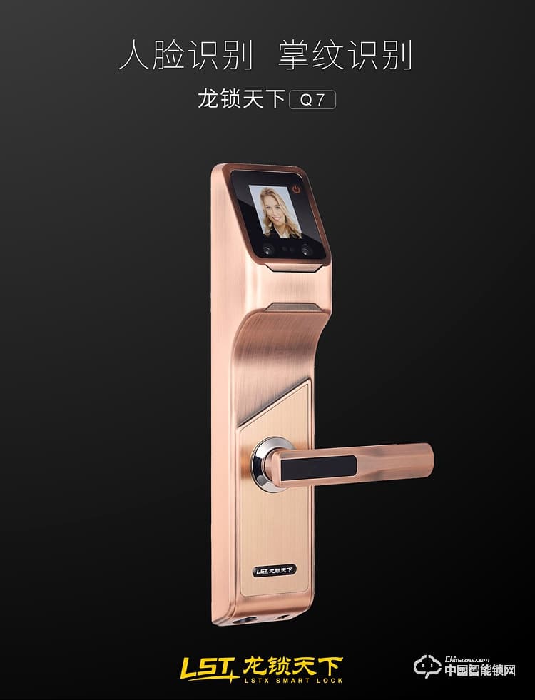 龍鎖天下智能鎖 人臉識(shí)別智能鎖 防盜門智能鎖Q7