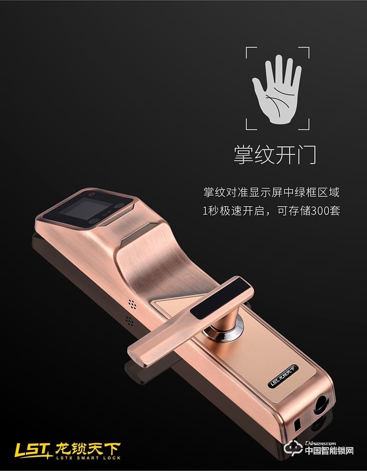 龍鎖天下智能鎖 人臉識(shí)別智能鎖 防盜門智能鎖Q7