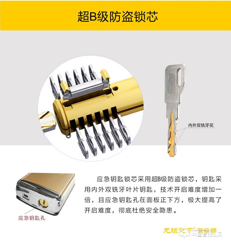 龍鎖天下智能鎖 指紋密碼鎖 防盜門鎖 電子刷卡鎖Z09