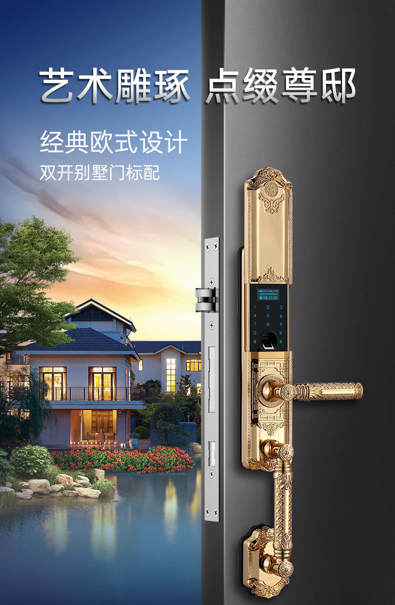黑龍智能鎖 802別墅門指紋鎖家用防盜門鎖