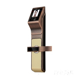 泓鑫人臉識(shí)別智能鎖 公寓別墅智能鎖