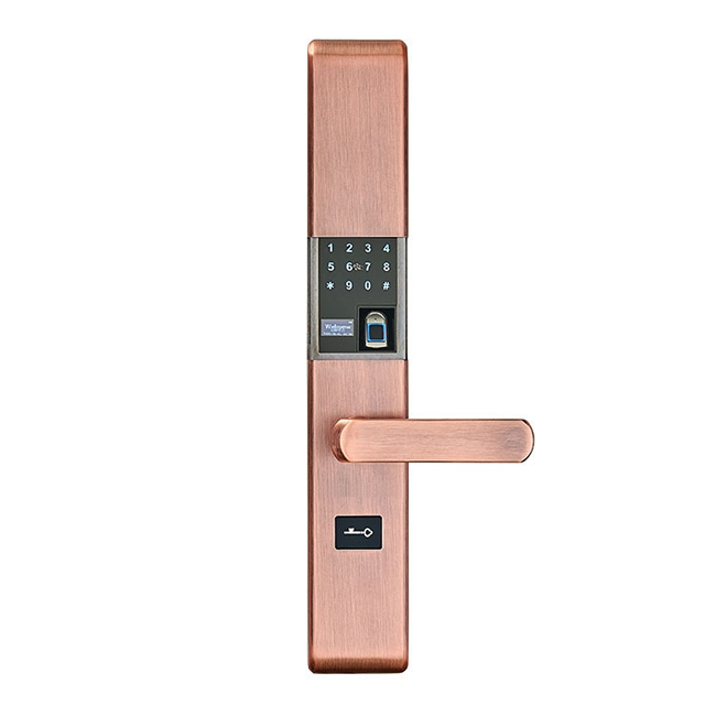 帥榮智能鎖 不銹鋼指紋識別鎖 電子感應(yīng)密碼鎖