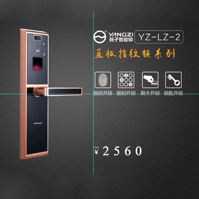 揚(yáng)子智能鎖 S2半自動(dòng)家用智能鎖