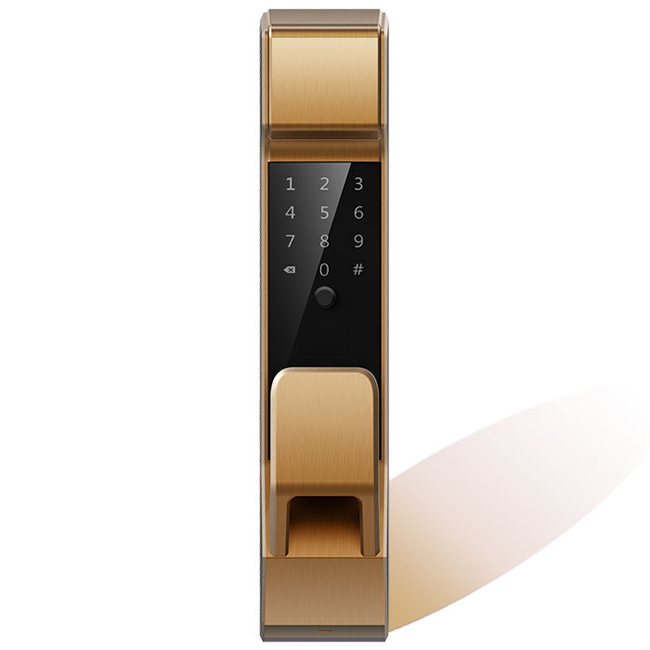 弘博匯指紋鎖 D9家用自動(dòng)鎖防盜門鎖