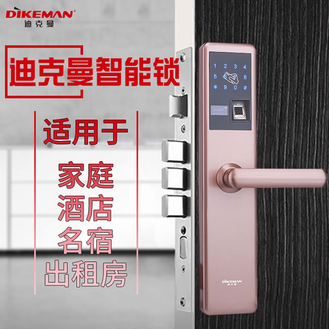 迪克曼智能鎖 家用防盜門(mén)智能鎖滑蓋鎖刷卡鎖A13