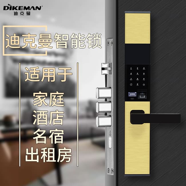迪克曼智能鎖 智能鎖滑蓋鎖刷卡鎖A9