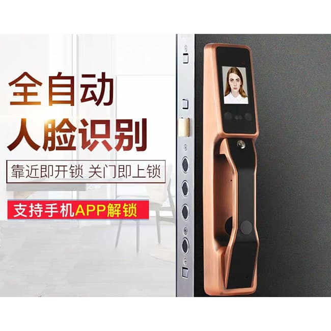 智得利智能鎖 人臉識(shí)別智能鎖 家用電子密碼鎖A-098