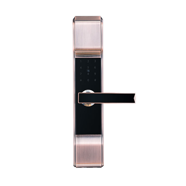 光芒智能鎖 小滑蓋指紋鎖 防盜門電子鎖GM018B