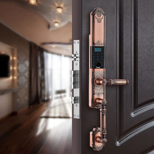 黑龍智能鎖 802別墅門指紋鎖家用防盜門鎖