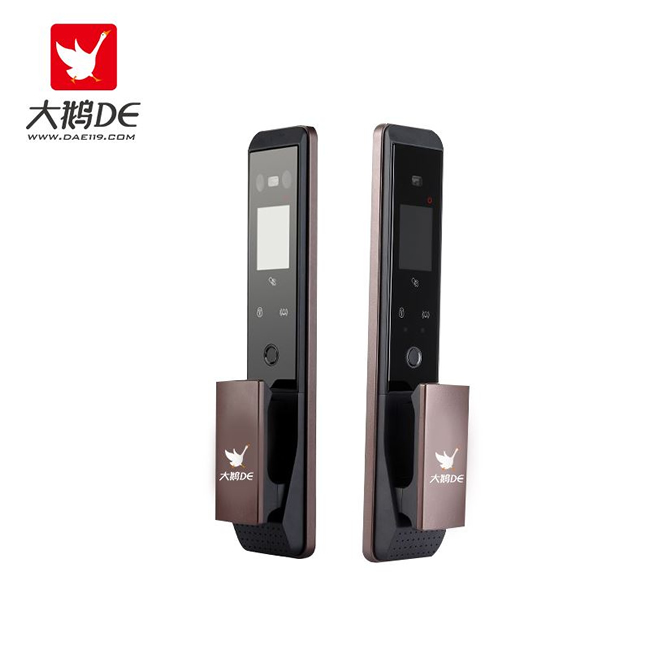 大鵝智能鎖  全自動人臉識別家用智能鎖