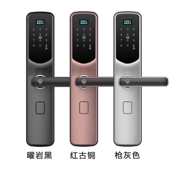 鎖先森H5智能鎖 瑞士精工FPC指紋傳感器