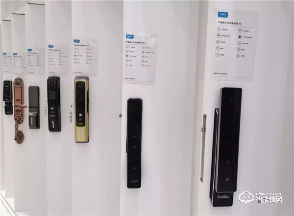 專訪羅曼斯王偉志 | 彎道超車背后的年輕與創(chuàng)新