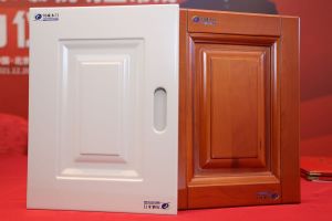 常戎傾情代言川誠(chéng)木門整裝