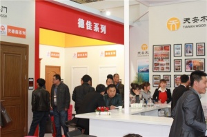 2014北京門(mén)展-天安